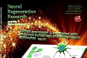 Neural Regeneration Research